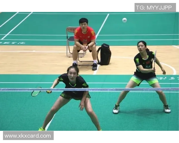 南京羽毛球队挑战赛战术分析与表现评估全景解读