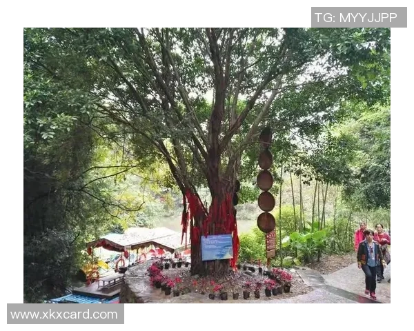 天河足球明星阵容全景展示，尽览球场风采与荣耀瞬间