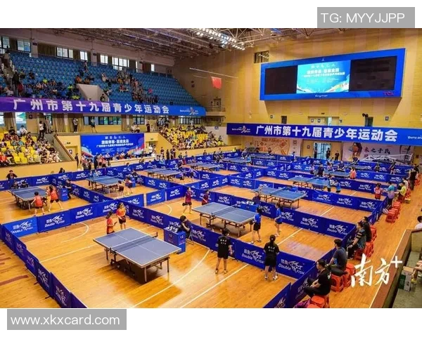 广州乒乓球队的奋斗历程与荣耀瞬间全景纪实