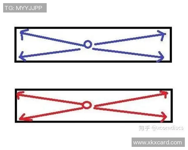 深入分析北京排球队防守策略与战术特点的专业解读