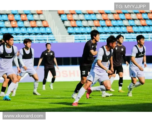 杭州足球队技术争议引发热议球迷与专家各执己见探讨战术选择