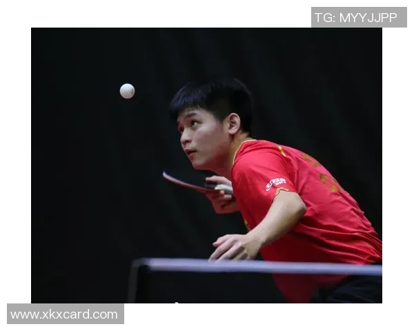 杨伟专访：深入探讨乒乓球成功背后的秘诀与心路历程